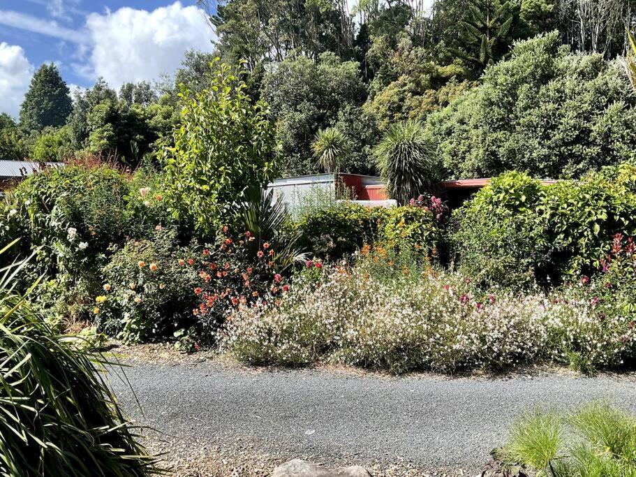 Oakura Pond Cottage - A Unique Kiwi Holiday Bach Luaran gambar