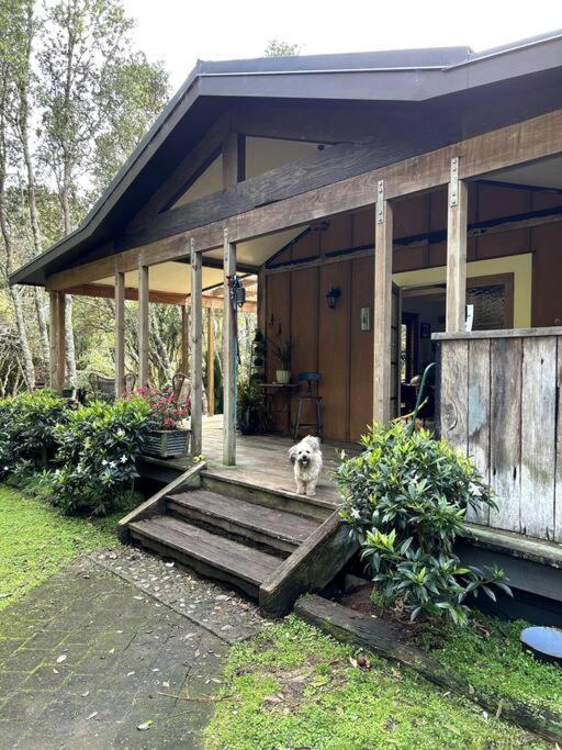 Oakura Pond Cottage - A Unique Kiwi Holiday Bach Luaran gambar
